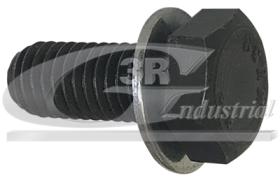 3RG 10006 - TORNILLO POLEA CIGUENAL